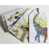 Growing Paper In The Veld Tags